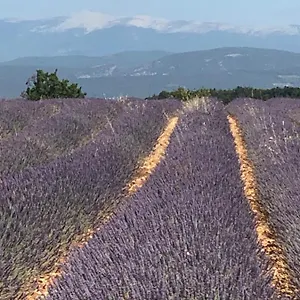 Provence Luberon Location Chez Marcelle Apartment